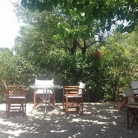 Hotel Beach Pilí